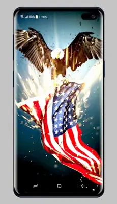 American Flag Wallpaper android App screenshot 3